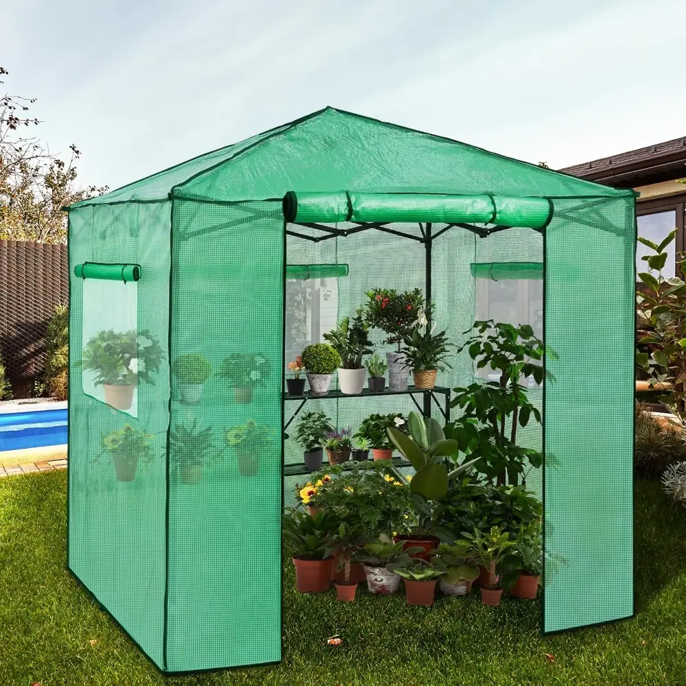 7x7 Pop up Greenhouse Portable Walk-in Outdoor Gardening Green House with 2 Foldable Shelves, Roll-up Zipper Entry Door and 3 M