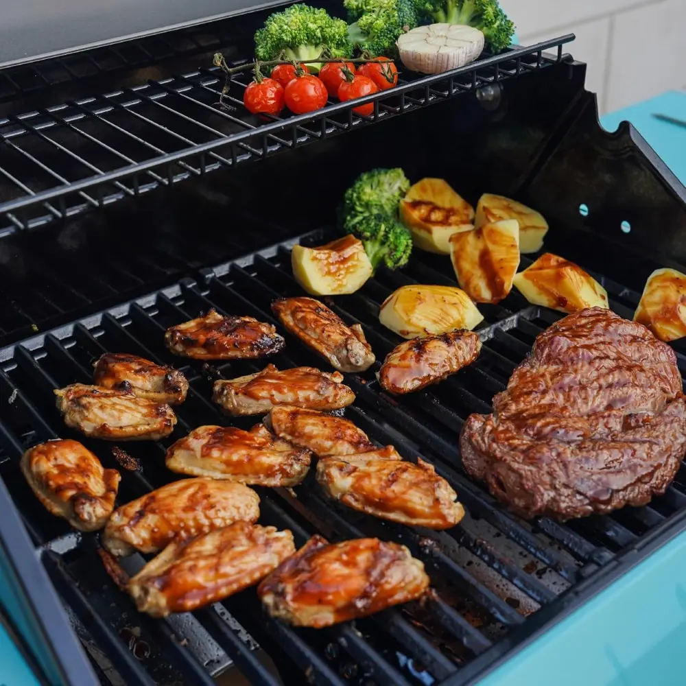 2-Burner Stainless Steel Liquid Propane Gas Patio Garden Barbecue Grill with Clearview® Lid, Knob Control and Two Foldable Shel