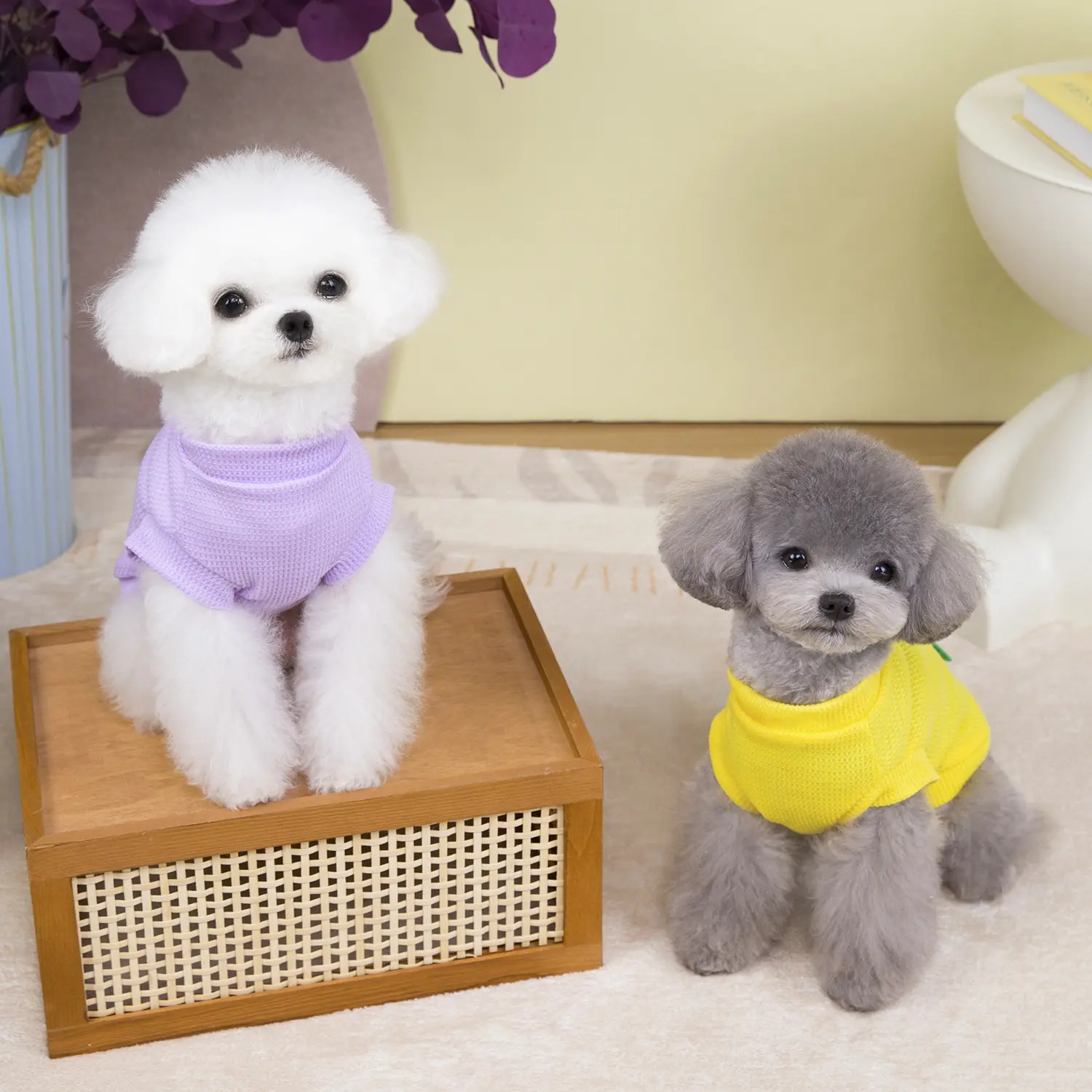 Amazon's new spring and summer dog clothes, cute dinosaur thin sunscreen clothes, cat and dog anti-hair loss vest