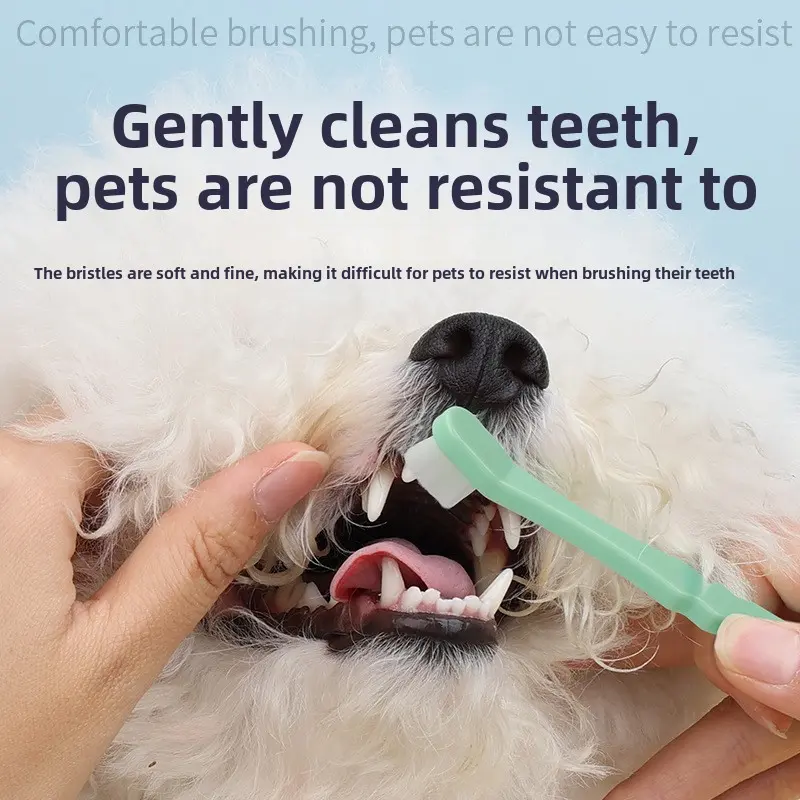 Pet products Dog and Cat toothbrush Soft 10,000 bristles oral cleaning products dog accessories  pet  pets  pet items dog