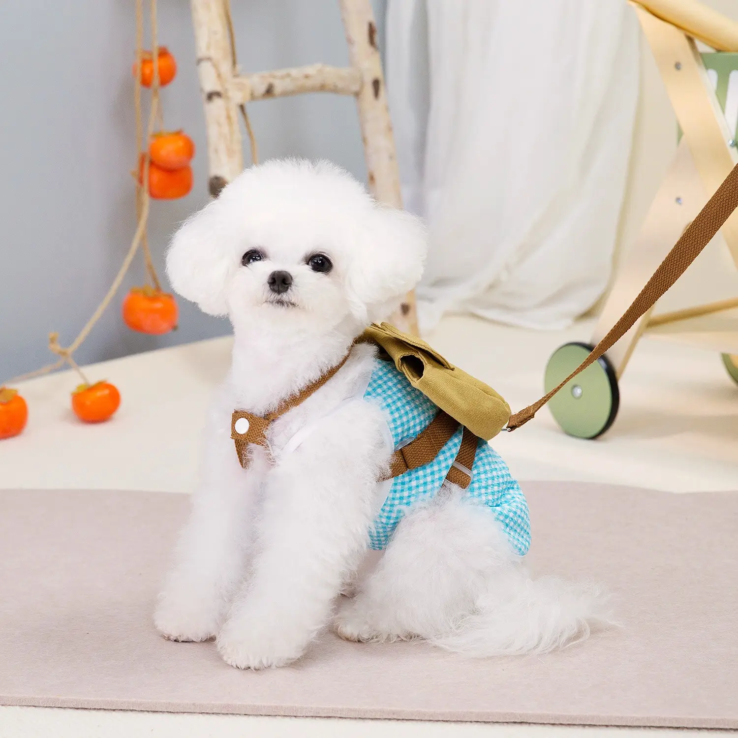 Pet dog Backpack Pet Clothing Accessories Outdoor Pet dog chest strap leash Chest backpack