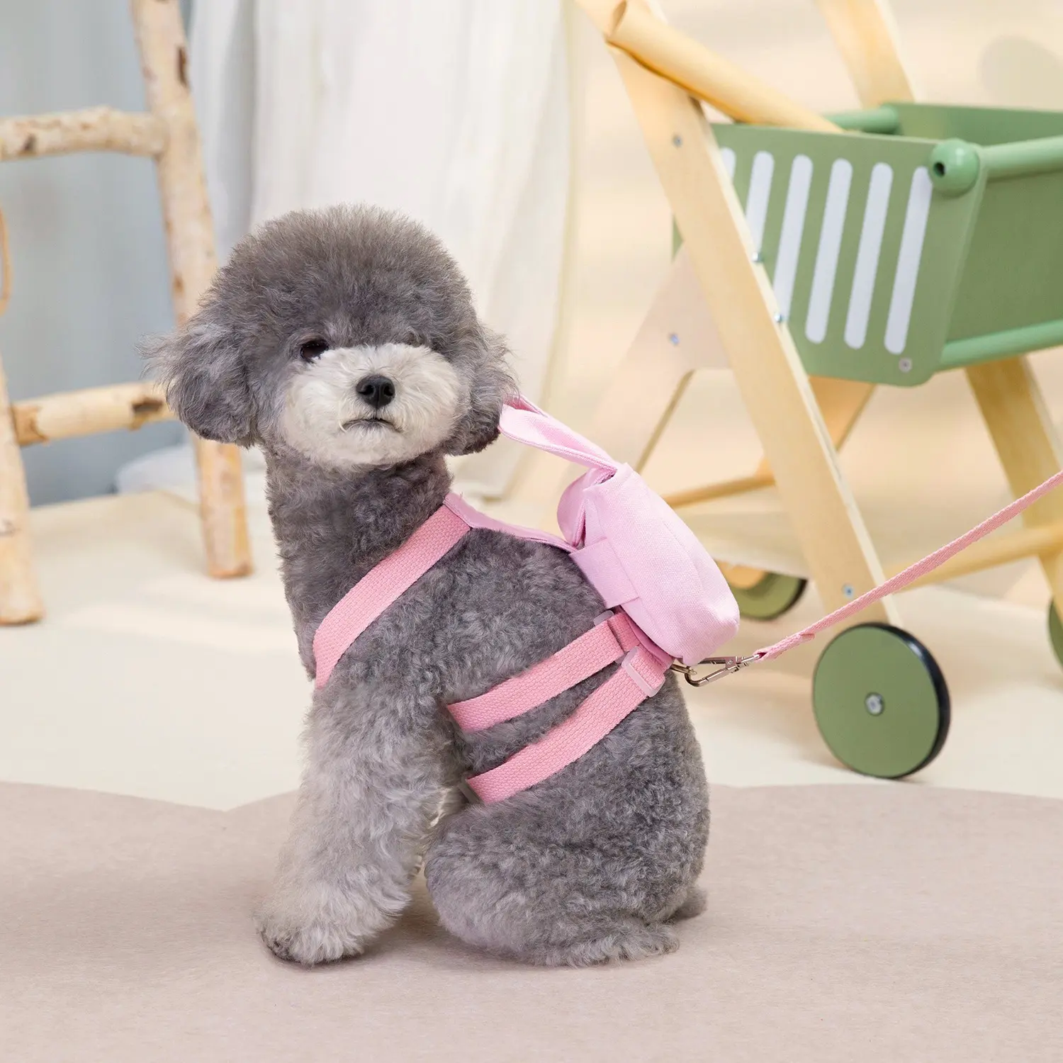 Pet dog Backpack Pet Clothing Accessories Outdoor Pet dog chest strap leash Chest backpack