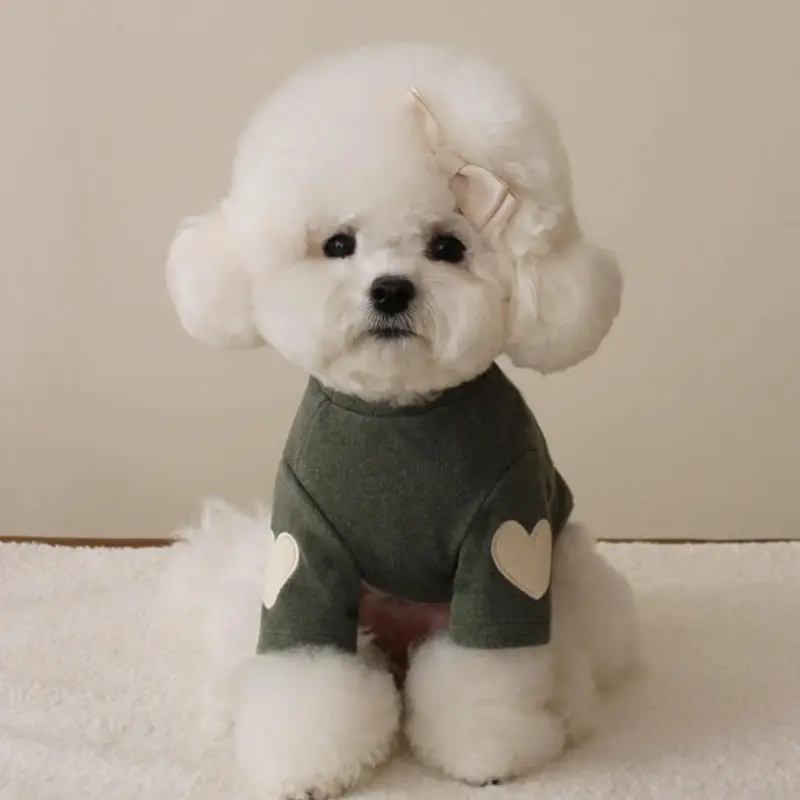 Autumn and winter Bichon Bear Teddy York summer Pomerte cashmere hoodie Dog cat pet love embroidered warm clothes