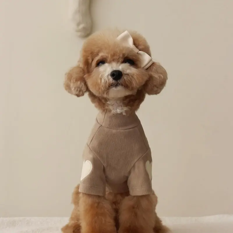 Autumn and winter Bichon Bear Teddy York summer Pomerte cashmere hoodie Dog cat pet love embroidered warm clothes