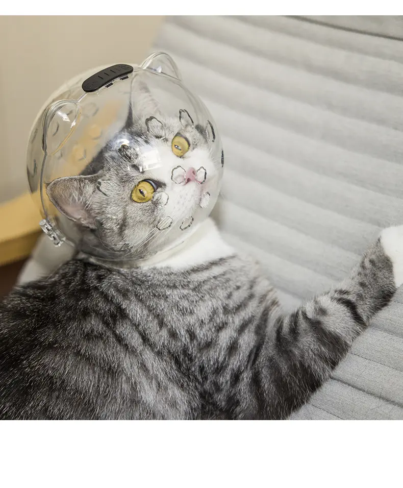 Cat space headgear muzzle Bite collar Licking Cat Protective Headgear Breathable Shame headgear