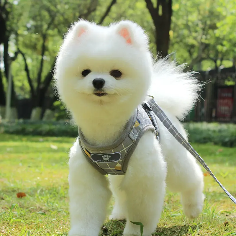 Pet chest strap Reflective breathable dog leash Small vest pet leash kitten accessories  kitten collar