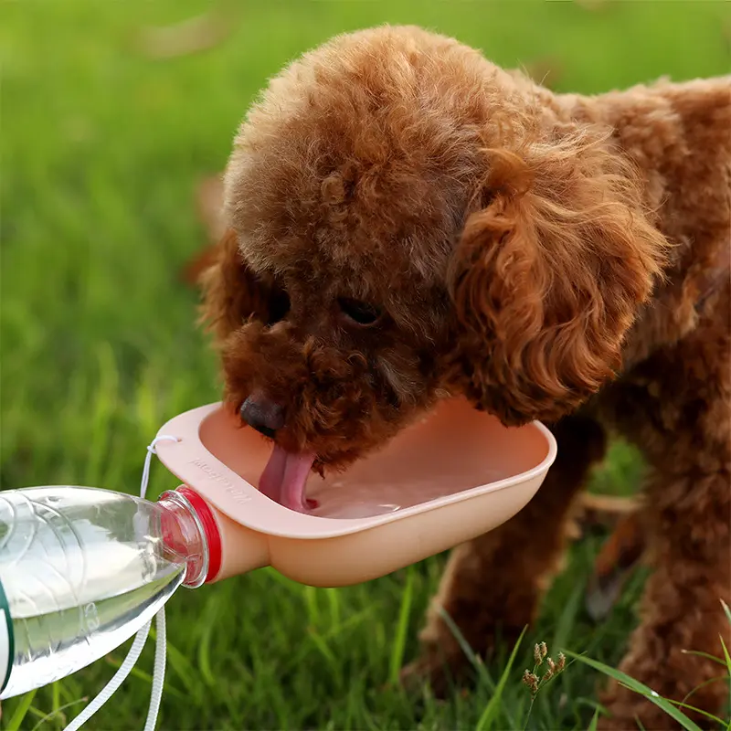 Pet supplies New pet water feeder Outdoor dog drinking bowl convenient with mineral water bottle dog bowl dog water bottle
