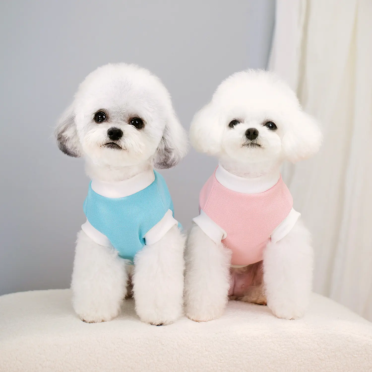 Pet Dog Clothing Pet Clothing Spring Summer Bichon Teddy Pet Vest Suspender Waffle Print T-Shirt dog costume