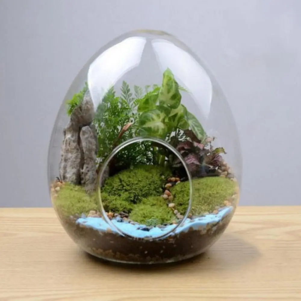 Creative Egg-shaped Glass Bottles Succulent Glass Vase Hydroponic Fleshy Micro Landscape Glass Terrarium Moss Home Decoration
