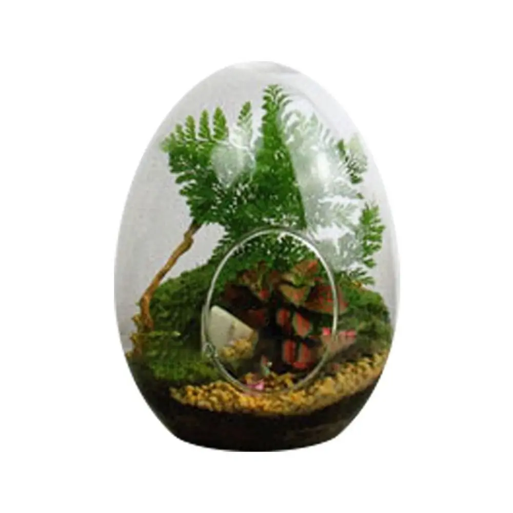 Creative Egg-shaped Glass Bottles Succulent Glass Vase Hydroponic Fleshy Micro Landscape Glass Terrarium Moss Home Decoration