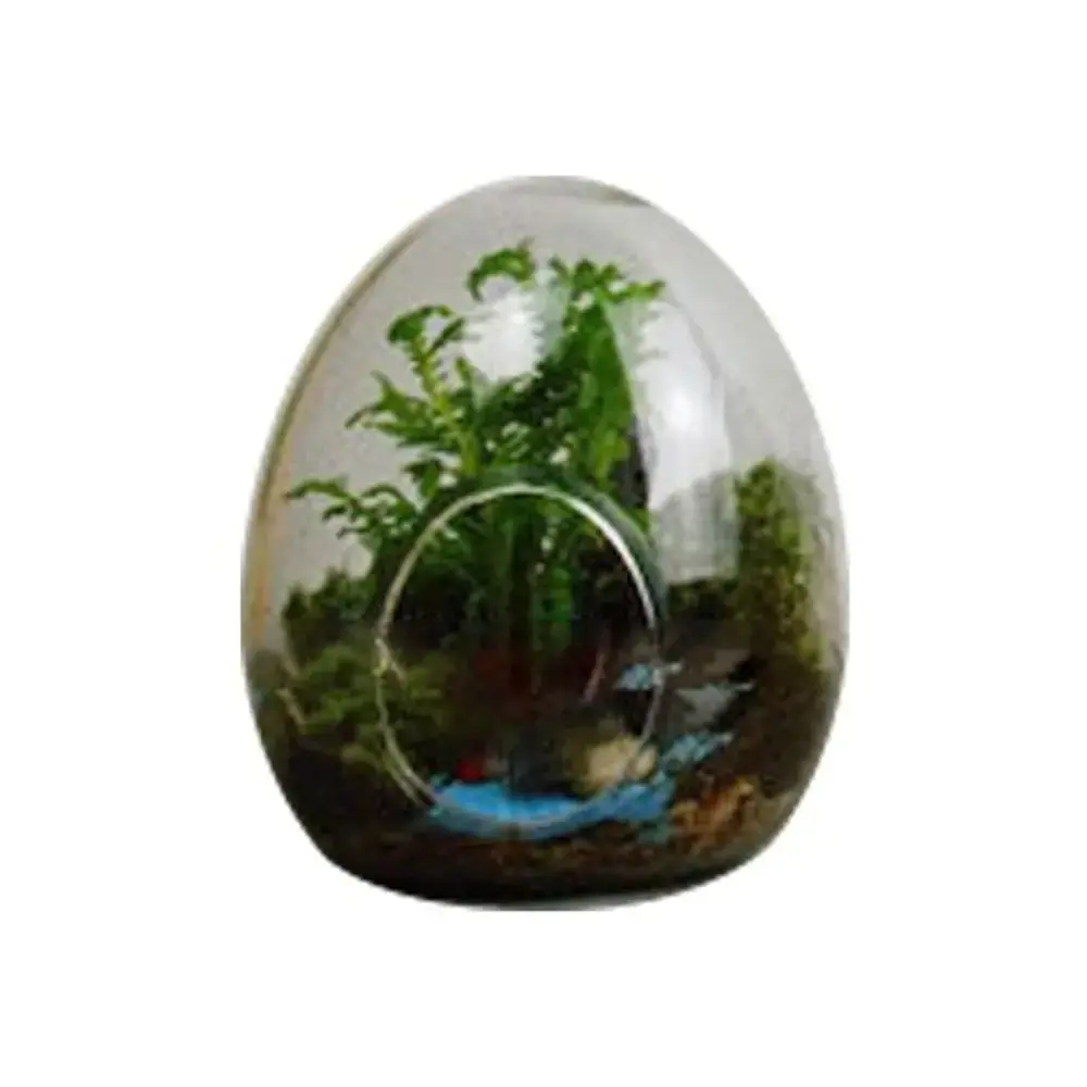 Creative Egg-shaped Glass Bottles Succulent Glass Vase Hydroponic Fleshy Micro Landscape Glass Terrarium Moss Home Decoration