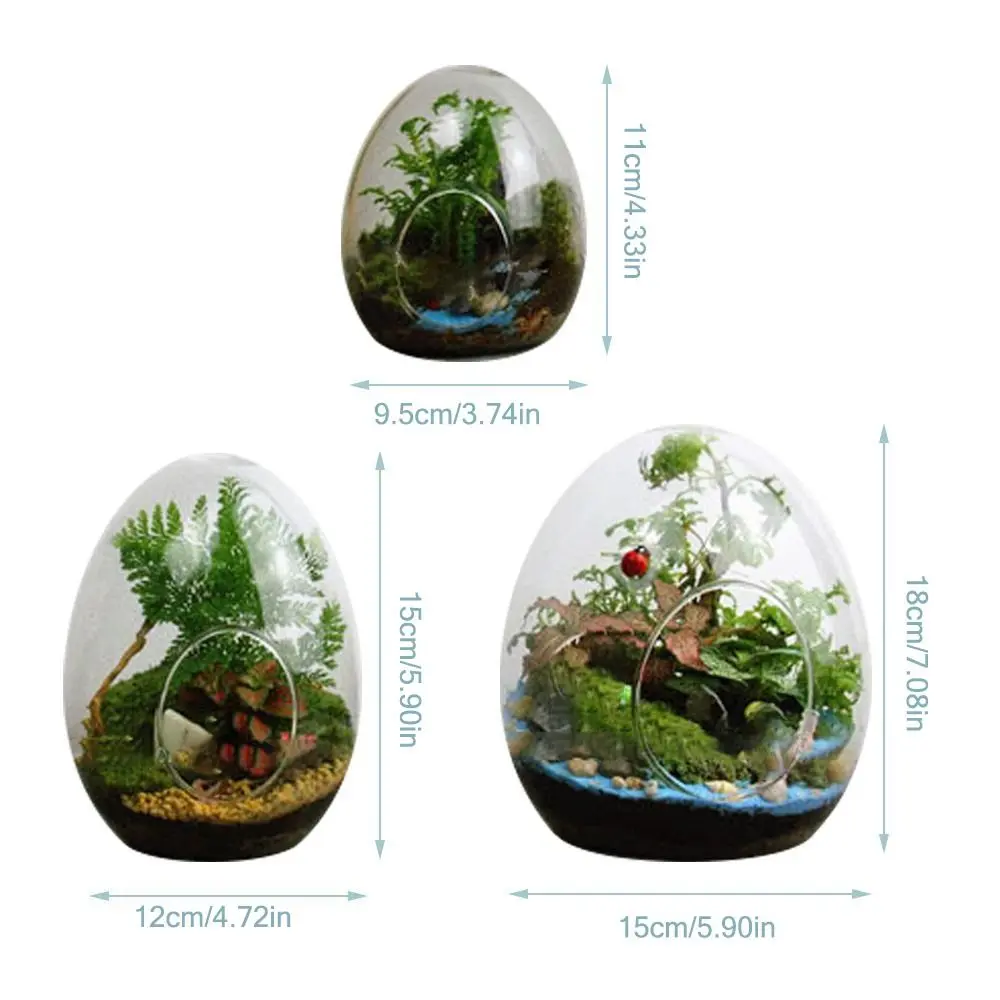 Creative Egg-shaped Glass Bottles Succulent Glass Vase Hydroponic Fleshy Micro Landscape Glass Terrarium Moss Home Decoration