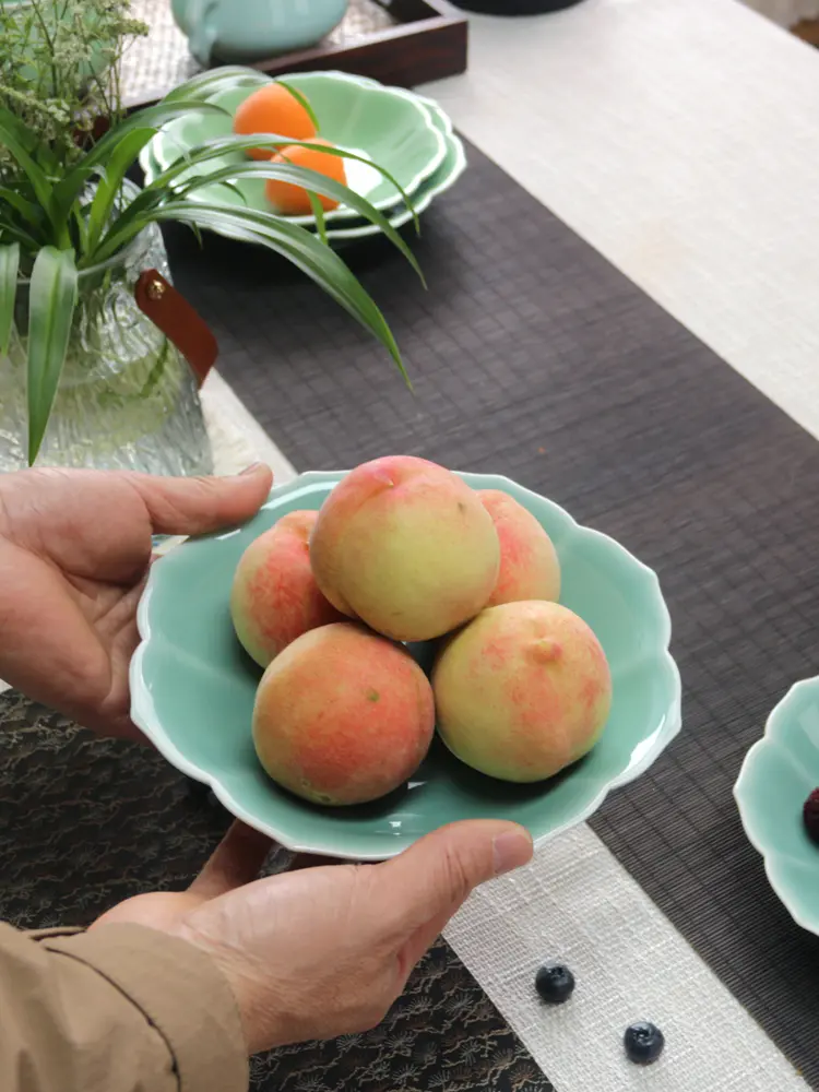 Ceramic plate household dinner plate new high-grade light luxury plate lace deep plates fruit plate celadon tableware