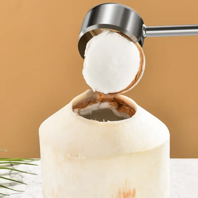 Coconut Opener Tool Food Grade 304 Stainless Steel Opener Coconut Meat Tool Solid Wooden Handle Rubber Hammer DIY Hand Tool