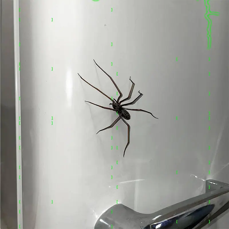Spider Magnetic Refrigerator Sticker Decor Horror Wall Cabinet Desktop Realistic Spider Decor Create Party Home Horror Dress Up