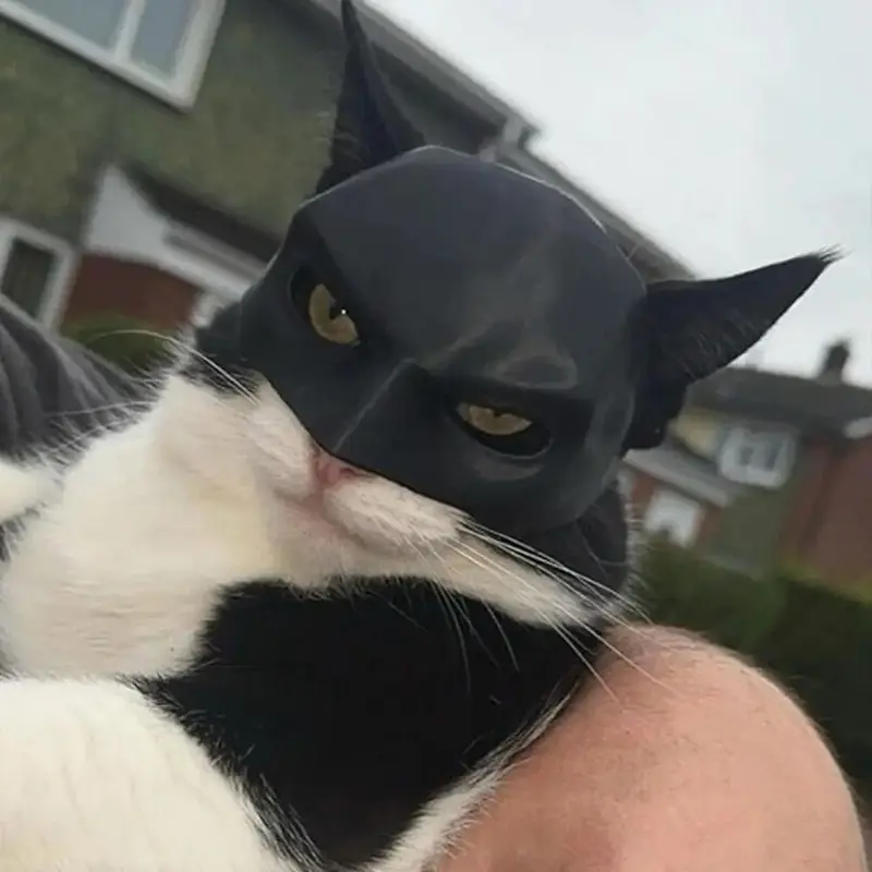 New Black Bat Cat Avenger Mask Cute Bat Mask Cool Matte Mask Cat Superhero Pet Toys For Cats And Dogs Make-up Party Supplies