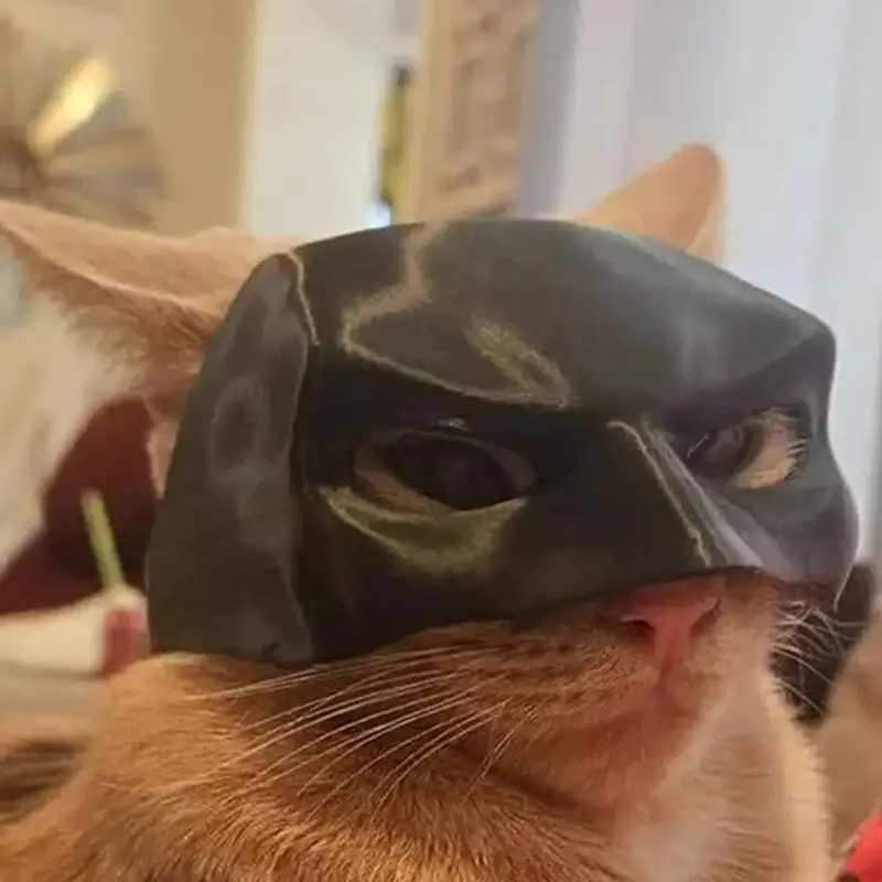New Black Bat Cat Avenger Mask Cute Bat Mask Cool Matte Mask Cat Superhero Pet Toys For Cats And Dogs Make-up Party Supplies