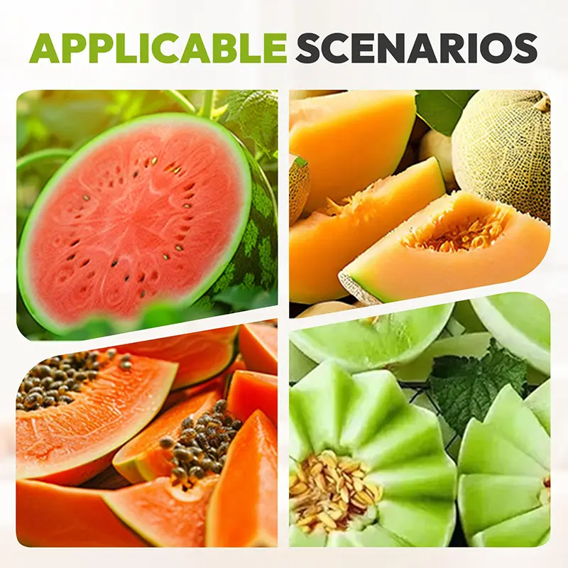 Stainless Steel Fruit Knife Watermelon Fork Slicer Multifunctional Fruit Slicer Hami Melon Watermelon Melon Kitchen Tool Slicer