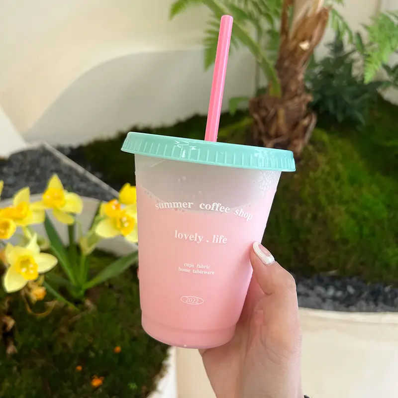 Kawaii Korean Water Bottle for Ice Coffee Juice Milk, Cute Plastic Reusable Bubble Tea Cups with Lid, Portable Straw, BPA Free