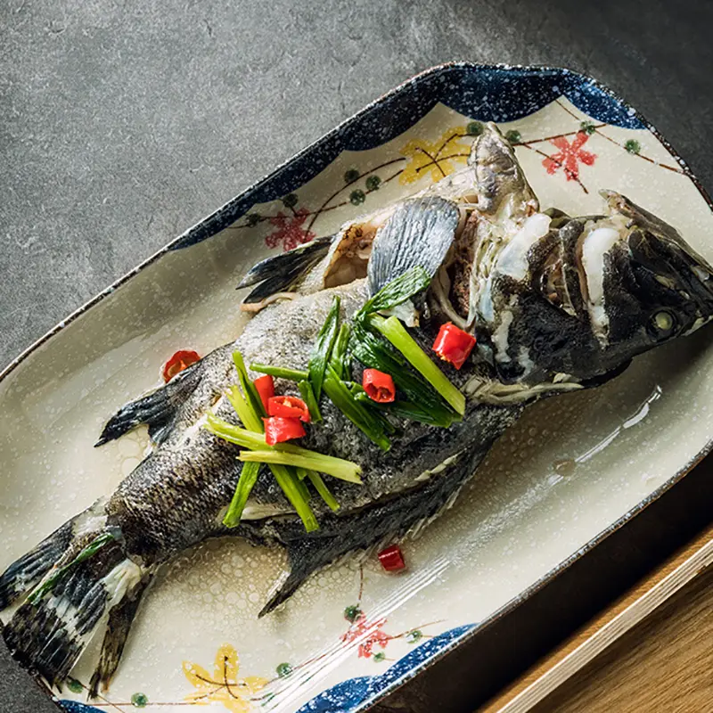 Creative Hand-painted Rectangular Fish Plate Japanese Retro Sushi Deep Dish Household Salad Plate Tableware