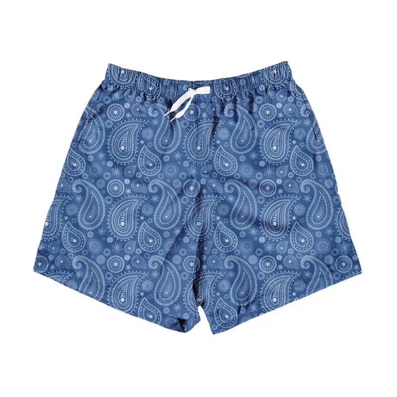 Paisley Fashion Beach Swim Shorts For Men 3D Print Quick Drying Drawstring Board Shorts Simple Square Plaid Surf Swim Trunks