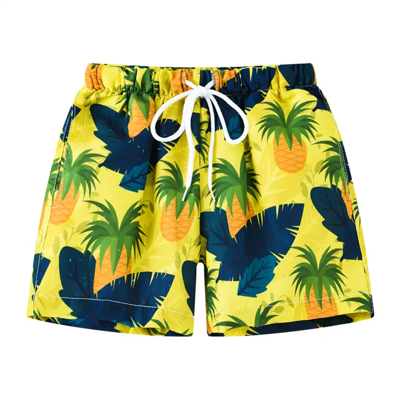 Hawaii Holiday Style 3d Printed Shorts For Men's Fruit Plant Animal Pattern Casual Beach Shorts Elastic Waistband Board Shorts