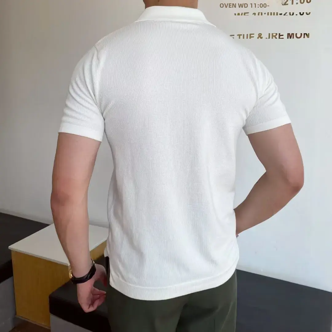New Style Japanese Youth Fashion Summer Standard Short Sleeves Trendy Versatile Simple Polo Shirt Daily Wear For Men