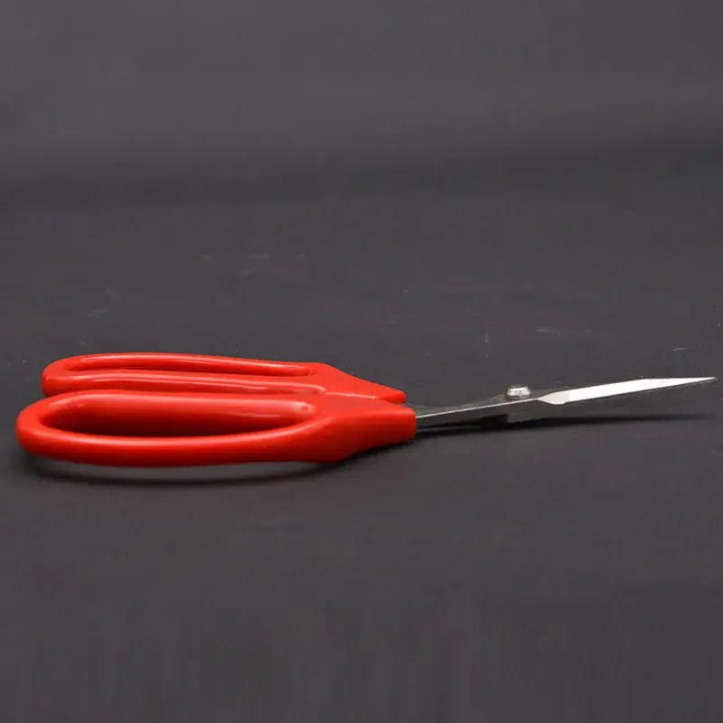 Sagawa Takashi 936 Stainless Steel Fruit Scissors Vegetable Flower Pruning Garden Scissors Upside-down Cutting Garden Tools