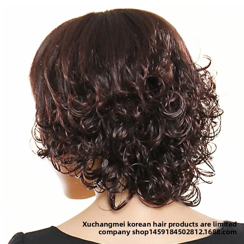 Fashionable Short Curl Wig Women's Full Head Chemotherapy Cap Synthetic Hair Cover Middle-Aged And Elderly Style Side Bangs