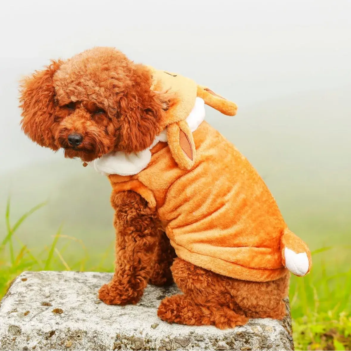 Warm Fleece Pet Coat Cotton Jacket Teddy Small Medium Dogs Cats Warm Autumn Winter Transformation Clothes Home Garden
