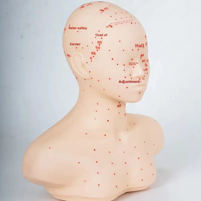 Skin Care Practice Mannequin Head Massage Technique Exercise Facial Wash Fake Human Head Model from Mainland China