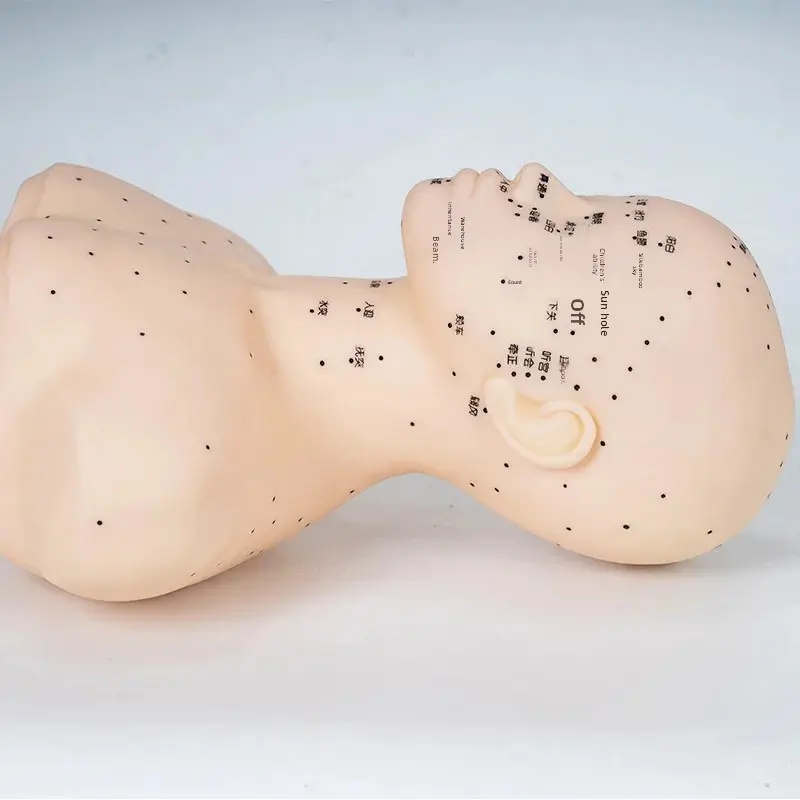 Skin Care Practice Mannequin Head Massage Technique Exercise Facial Wash Fake Human Head Model from Mainland China
