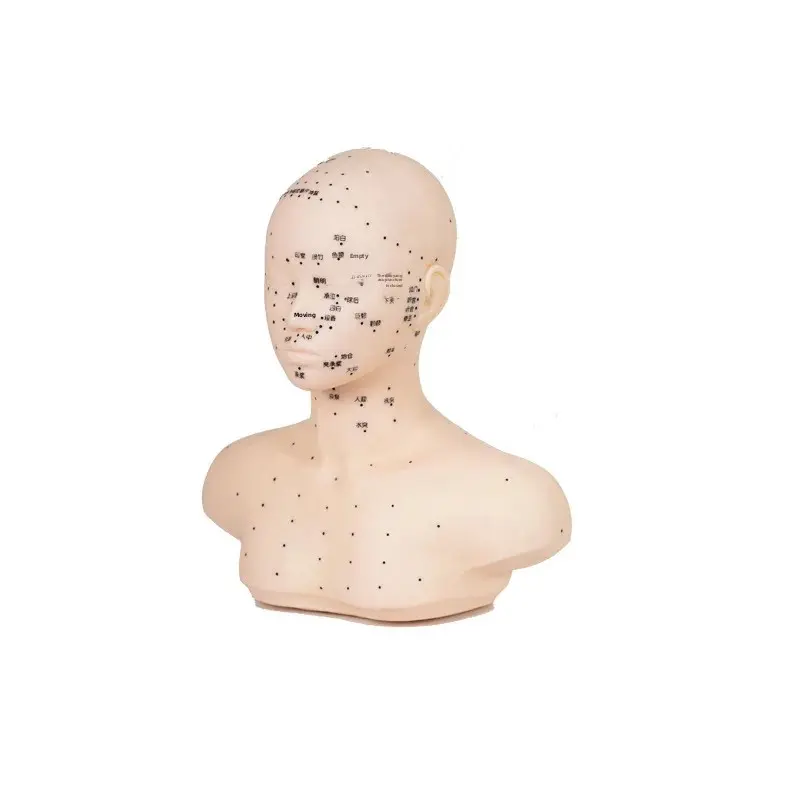 Skin Care Practice Mannequin Head Massage Technique Exercise Facial Wash Fake Human Head Model from Mainland China