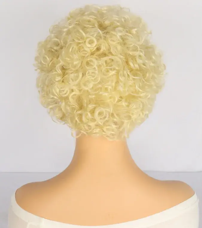 Fashionable Short Curl Wig Natural Looking African Style Explosive Hair Small Roll Wig Fluffy White Fiber Mechanism Wig