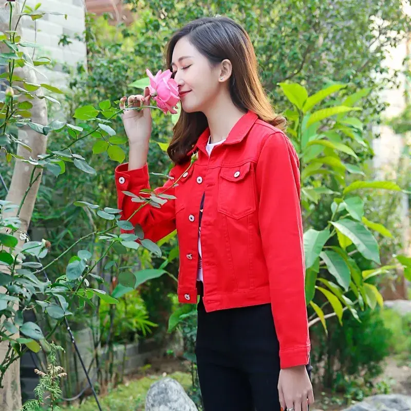 Spring Autumn Candy Colored Denim Jacket Women's Slim Fit Long Sleeve Short Outerwear Stylish College Style Jeans Coat