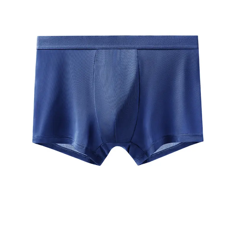 10PCS  Men's Panties Cool Smooth Comfortable Breathable Men's Boxers Ice Silk Sports Fitness Casual Fitness Men's Pants