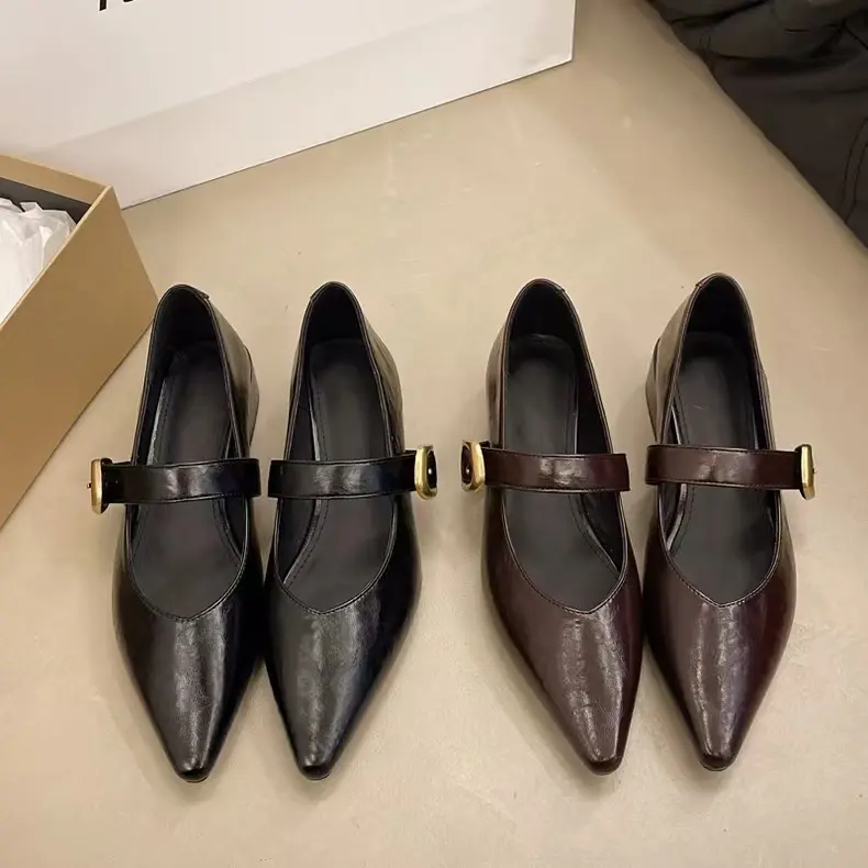 Designer Vintage Pointed Toe Women Mary Jane Shoes Fashion Shallow Buckle Shoes Spring Ladies Elegant Dress Thick Heel Shoes