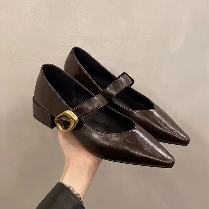 Designer Vintage Pointed Toe Women Mary Jane Shoes Fashion Shallow Buckle Shoes Spring Ladies Elegant Dress Thick Heel Shoes