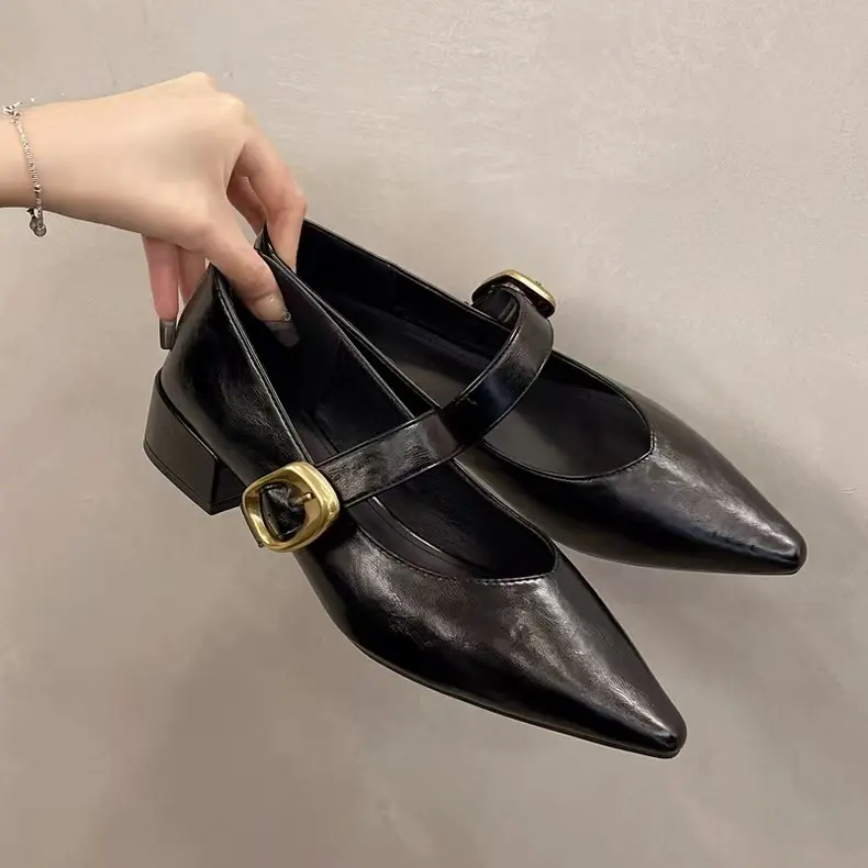 Designer Vintage Pointed Toe Women Mary Jane Shoes Fashion Shallow Buckle Shoes Spring Ladies Elegant Dress Thick Heel Shoes