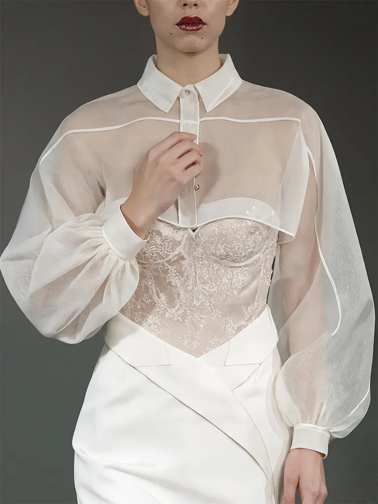Women's Plus Size Lapel Collar Blouse Shirt Long Sleeve Translucent Lantern Sleeve Elegant Sweet Chic Cover-up Tops