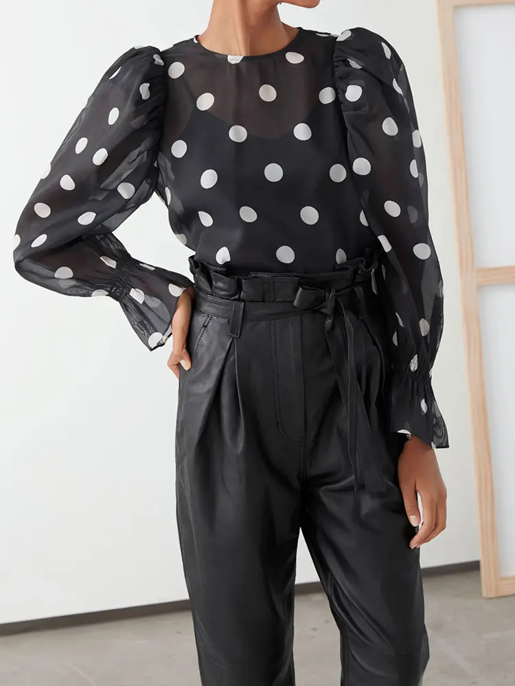 Chiffon Blouse for Women Sheer Puff Sleeve Round Neck Spring Fashion Polka Dot Print Casual Elegant Transparent Shirt Tops 2024