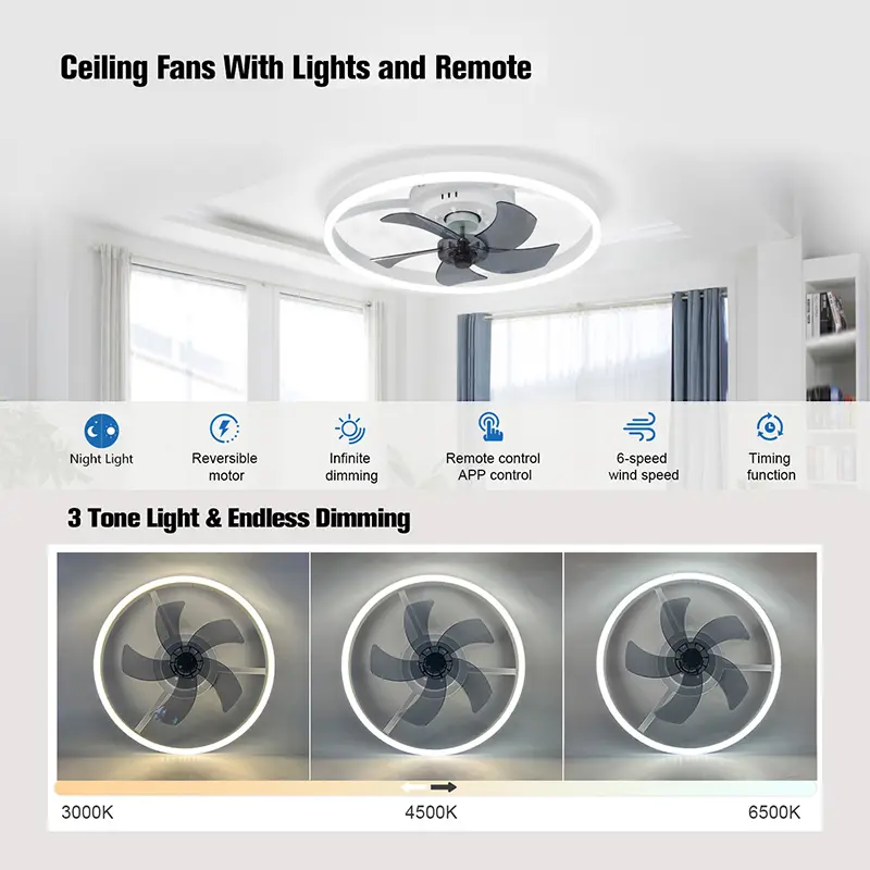 50cm with Remote Control and Intelligent Silent Ceiling Fan with 6 Wind Speeds, Bedroom and Living Room Decoration Pendant Light