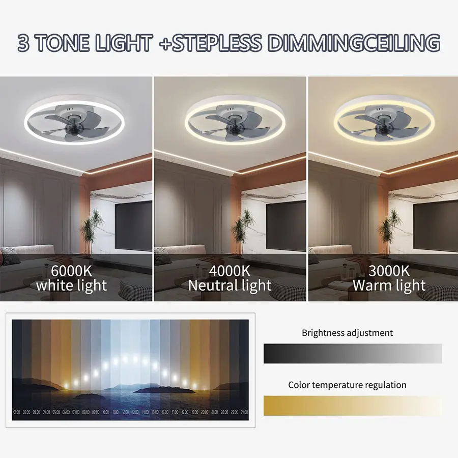50cm with Remote Control and Intelligent Silent Ceiling Fan with 6 Wind Speeds, Bedroom and Living Room Decoration Pendant Light