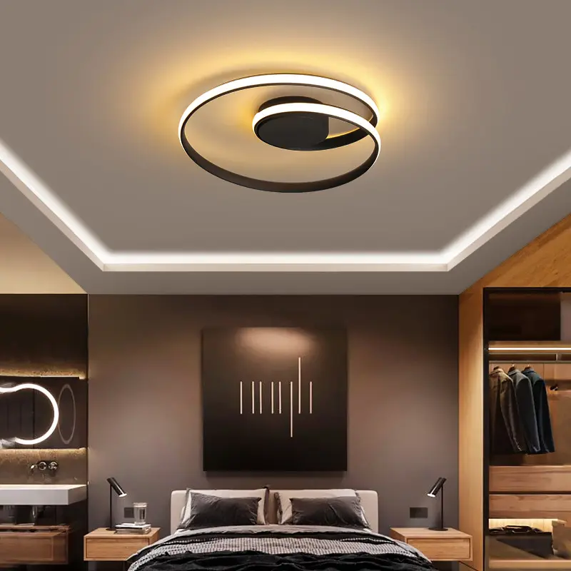 Nordic Minimalist Ceiling Lamp Creative Living Room Dining Room Led Ceiling Lamp Warm and Romantic Indoor Room Lighting Lamps