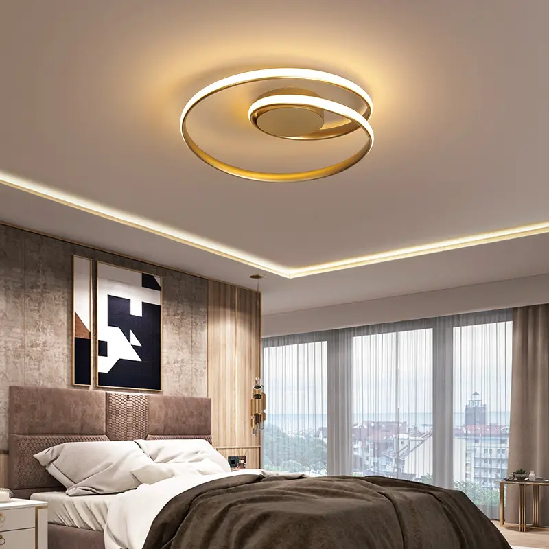 Nordic Minimalist Ceiling Lamp Creative Living Room Dining Room Led Ceiling Lamp Warm and Romantic Indoor Room Lighting Lamps