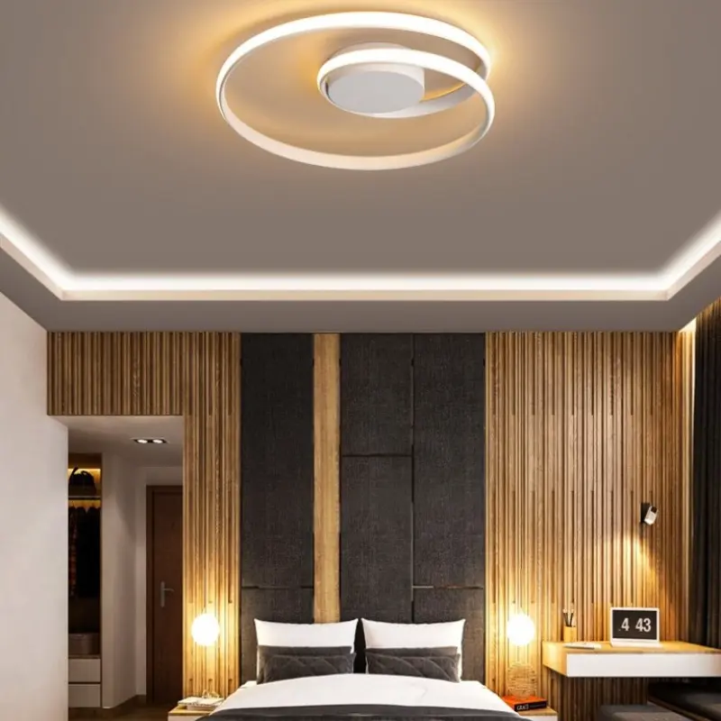 Nordic Minimalist Ceiling Lamp Creative Living Room Dining Room Led Ceiling Lamp Warm and Romantic Indoor Room Lighting Lamps