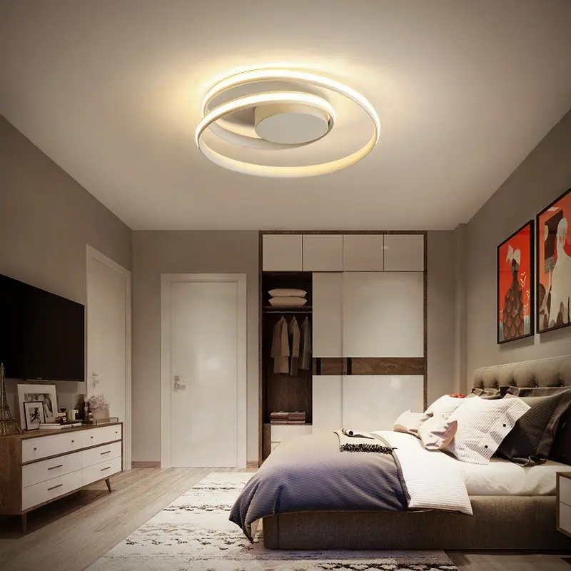 Nordic Minimalist Ceiling Lamp Creative Living Room Dining Room Led Ceiling Lamp Warm and Romantic Indoor Room Lighting Lamps