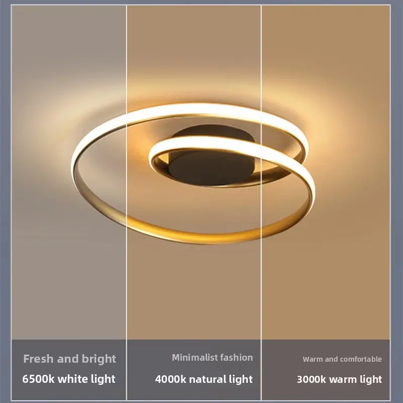 Nordic Minimalist Ceiling Lamp Creative Living Room Dining Room Led Ceiling Lamp Warm and Romantic Indoor Room Lighting Lamps