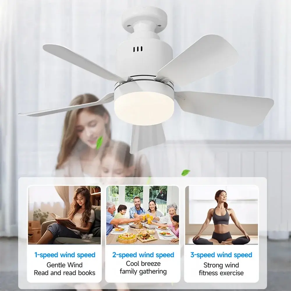 Socket Bulb Fan Household Fan Light, Detachable, Multifunctional, Remote Control Living Room and Bedroom Ceiling Fan Light