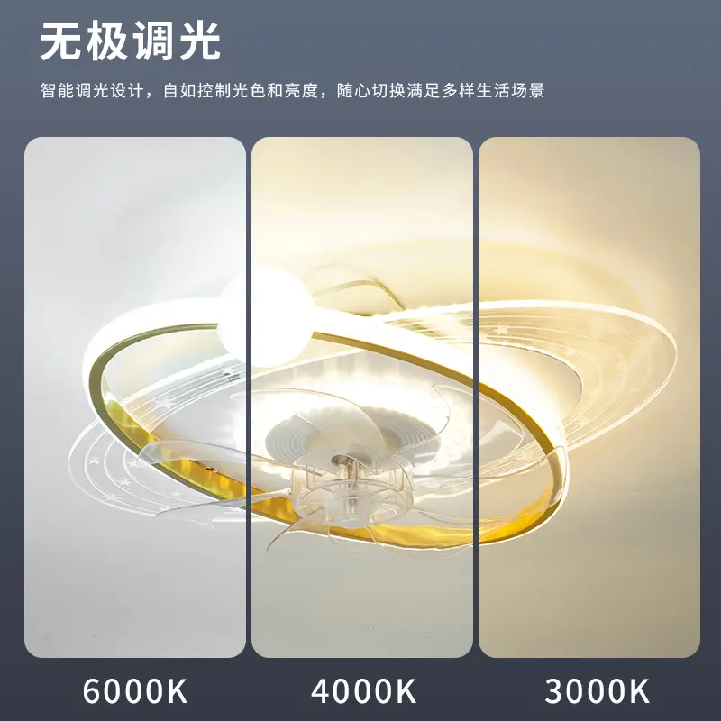 220V Modern Ceiling Fan Light with Remote Control Living Room Bedroom Starry Sky Dining Room LED Lighting Fan Pendant Light